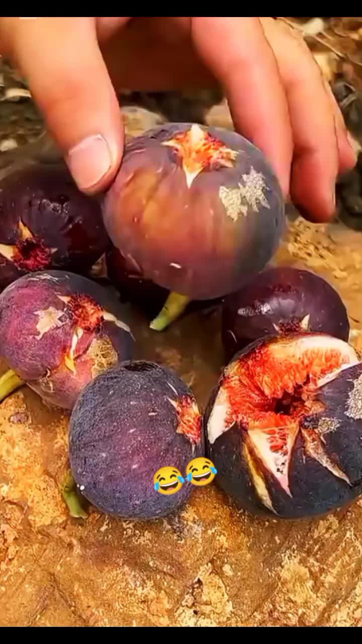 @◉‿◉