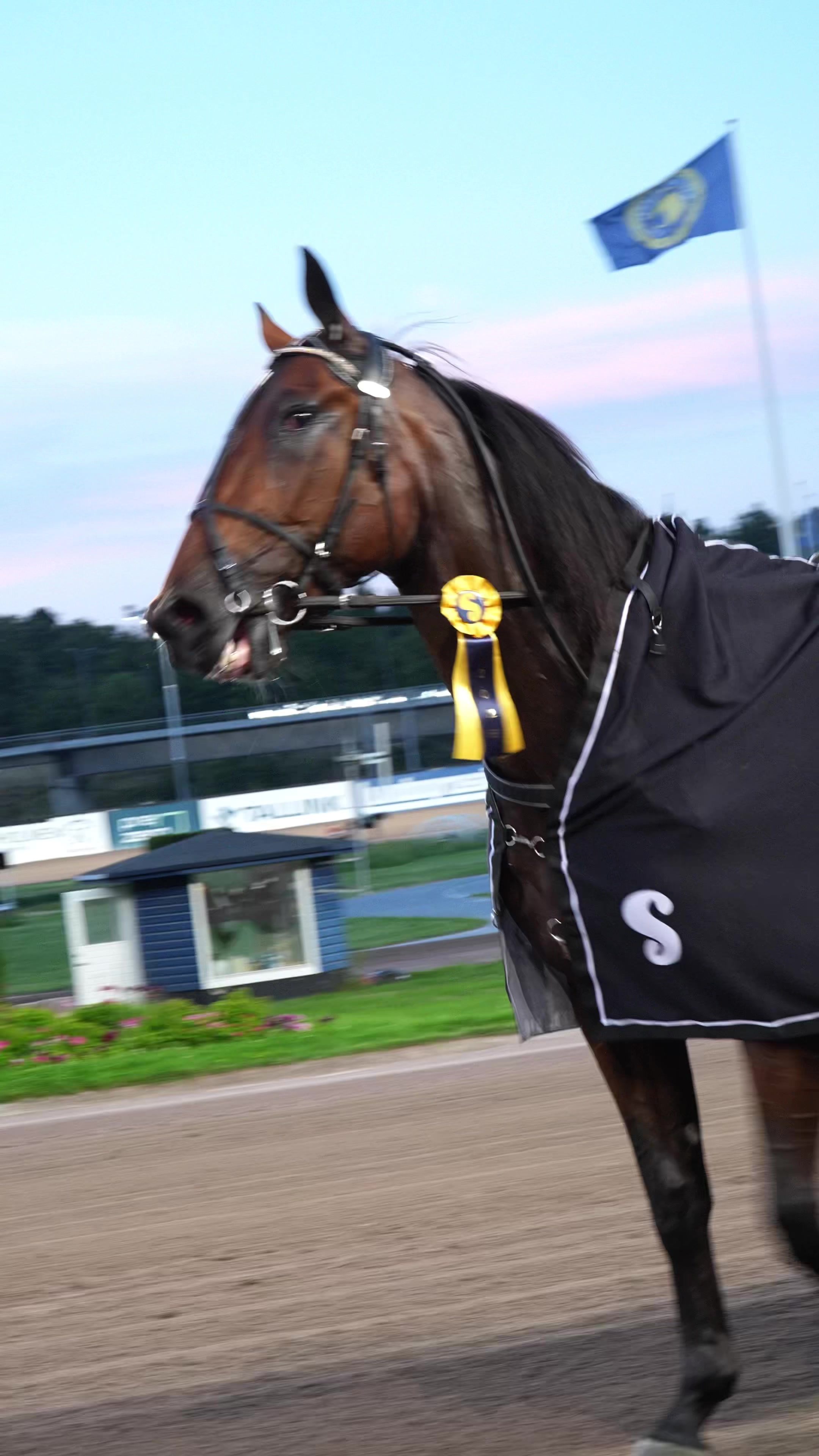 @Solvalla