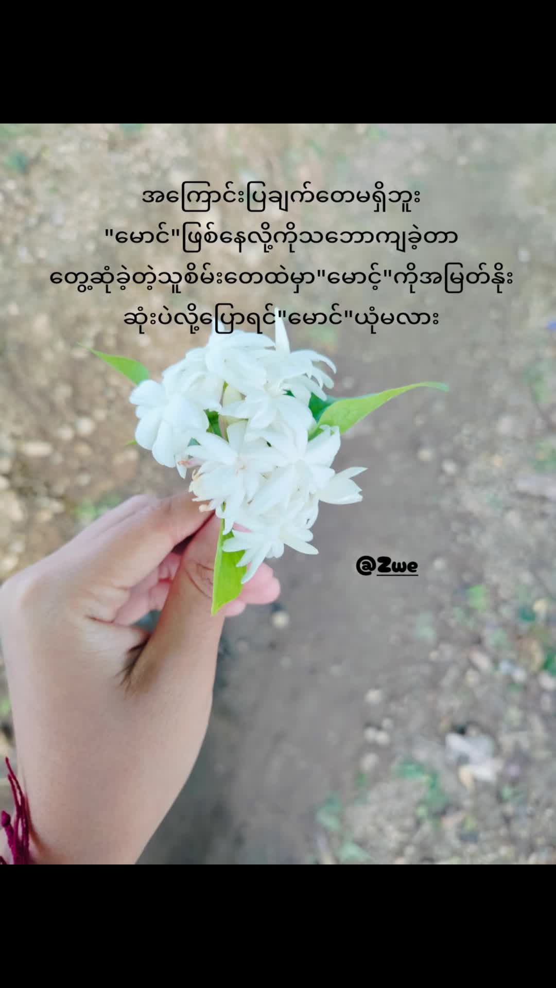 @๐ฏ๐ฝ๐พ๐๐๐ถ๐ ๐ฉ๐๐