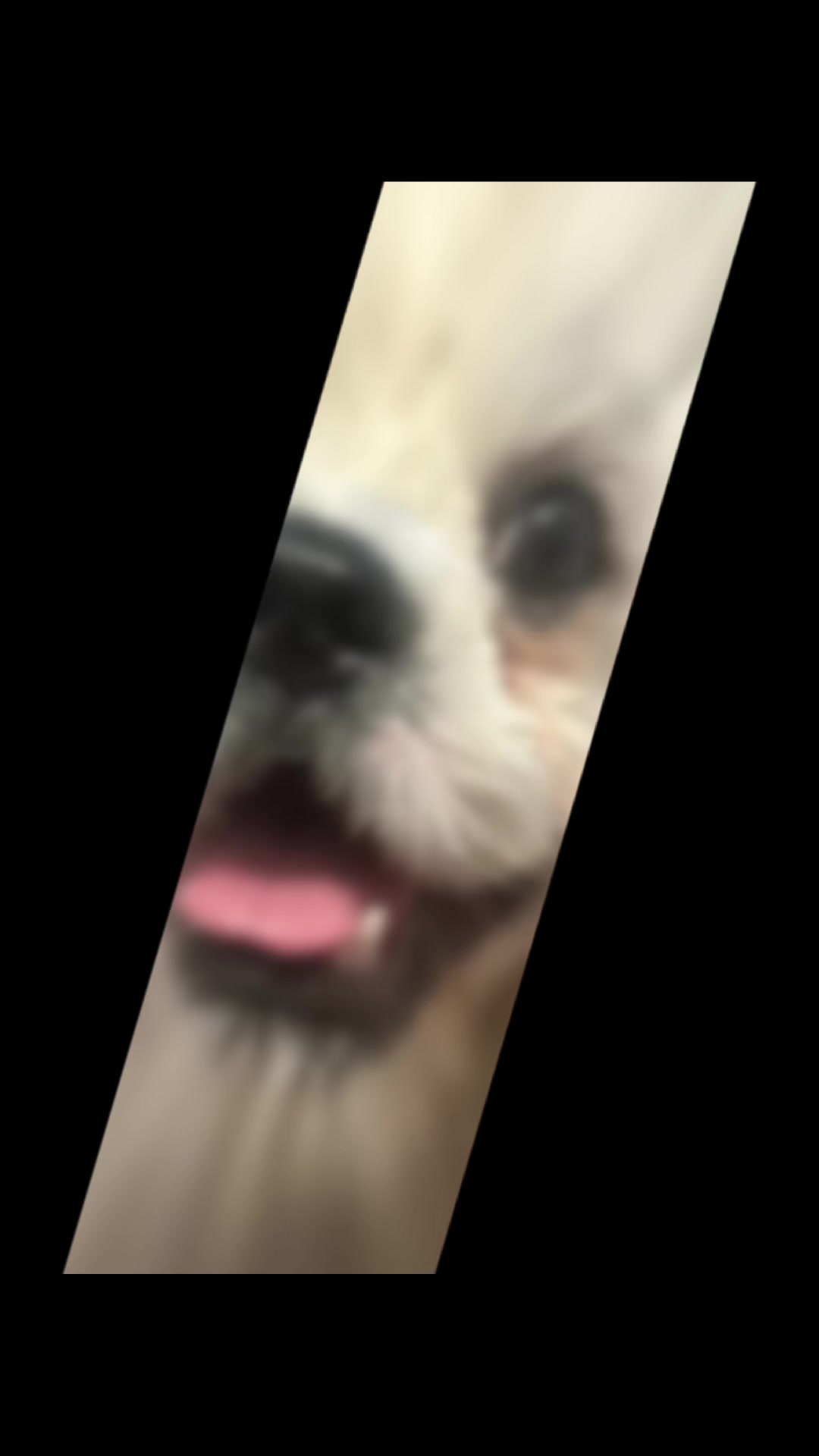 @dann2874