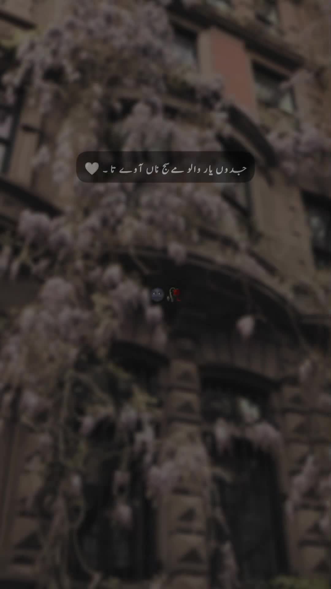 @𝐒 𝐚 𝐌 𝐢 🍂🫀