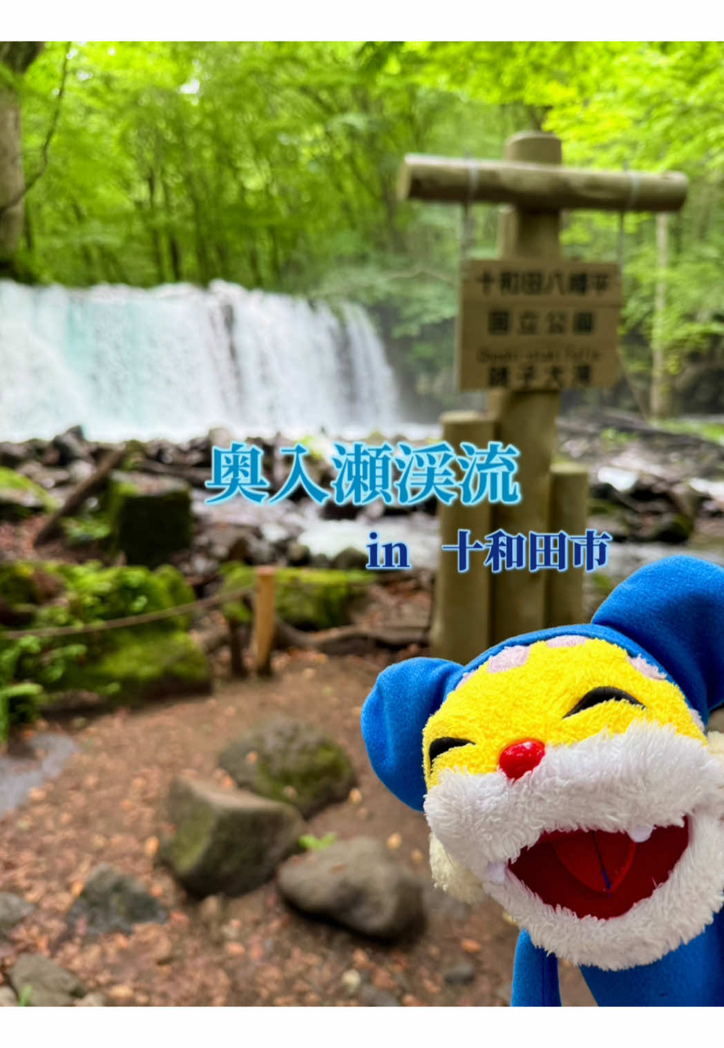 @micchon0809