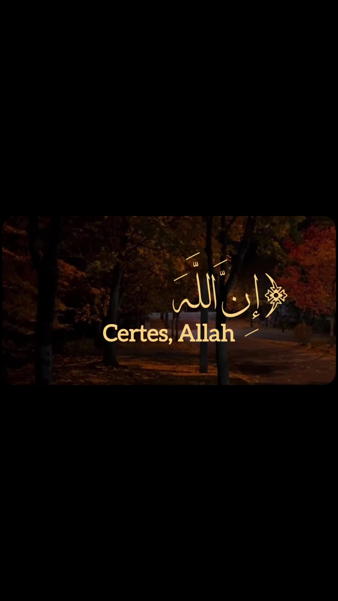 @Quran🤍 Recitation 🎙️