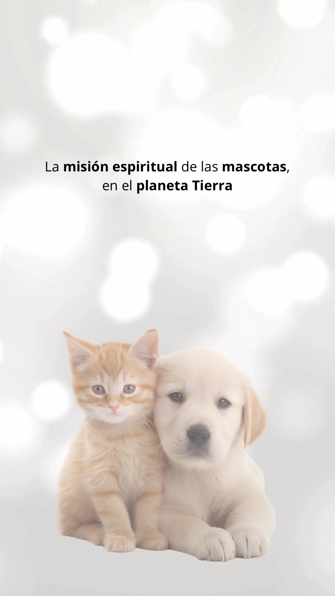 @Evidencias del cielo