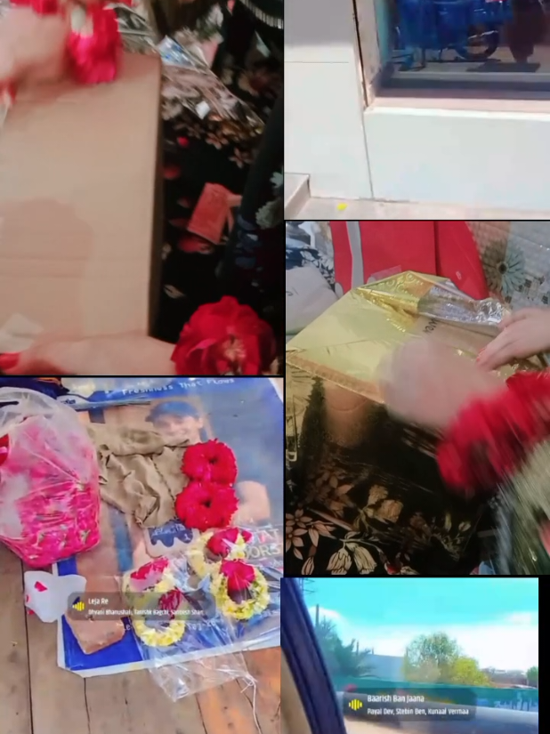 @ᥫଓ᭡Zimal🎀🐬ᥫ᭡
