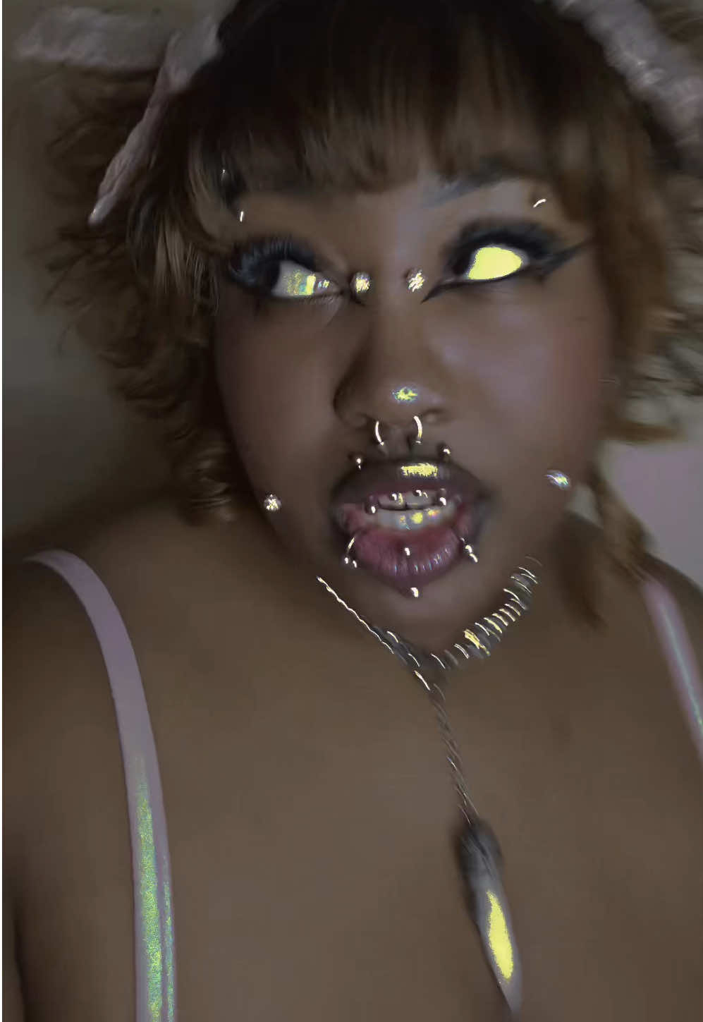 @plump.bunny.ex