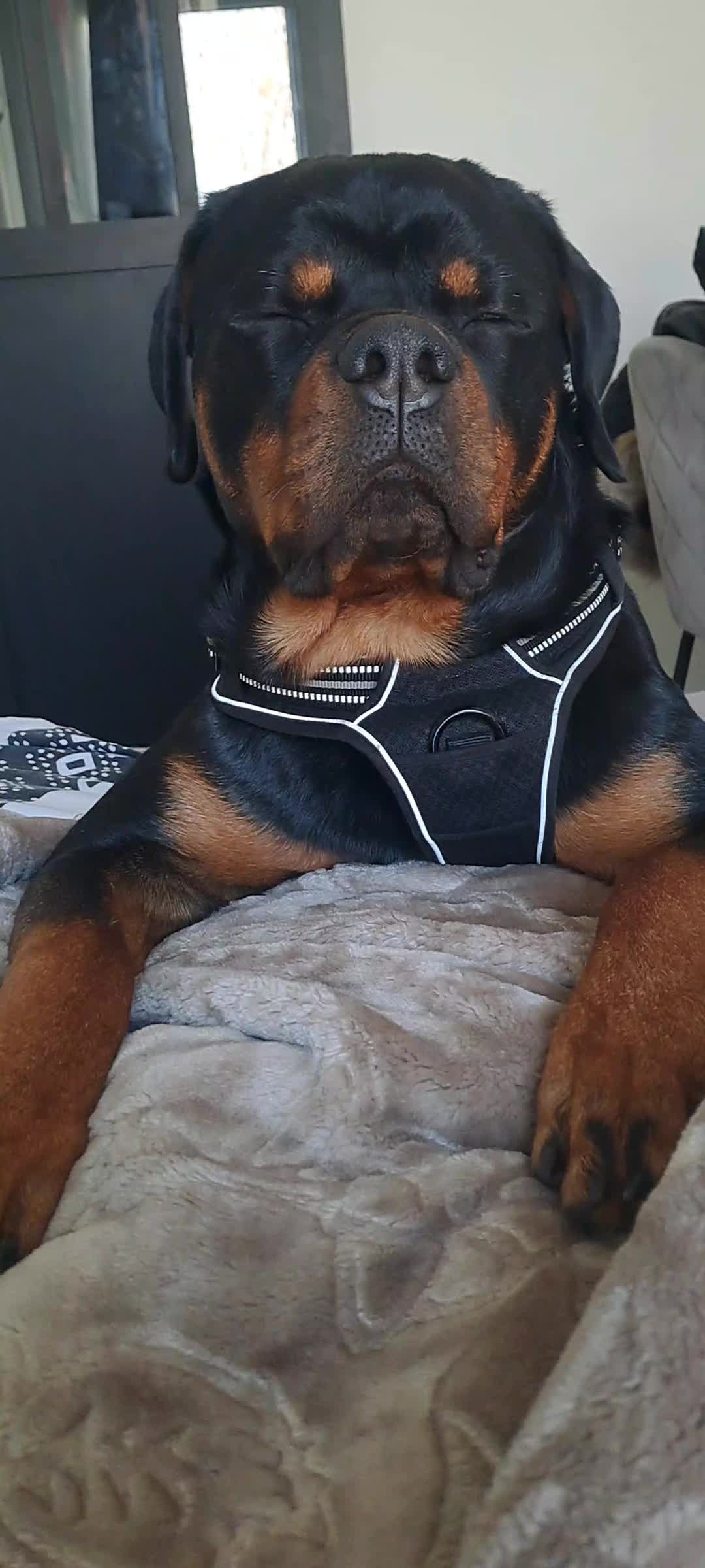 @NALA