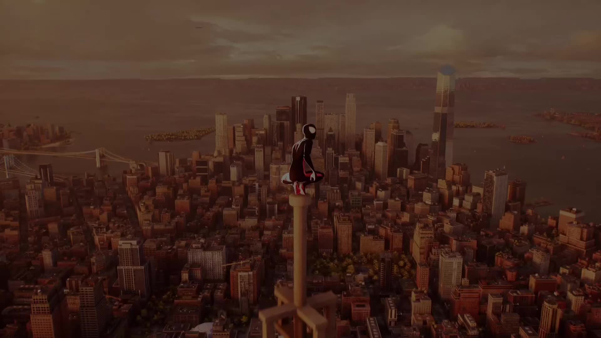@spideyhim