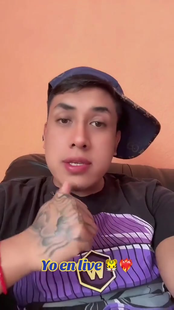 @tigrillo_mx