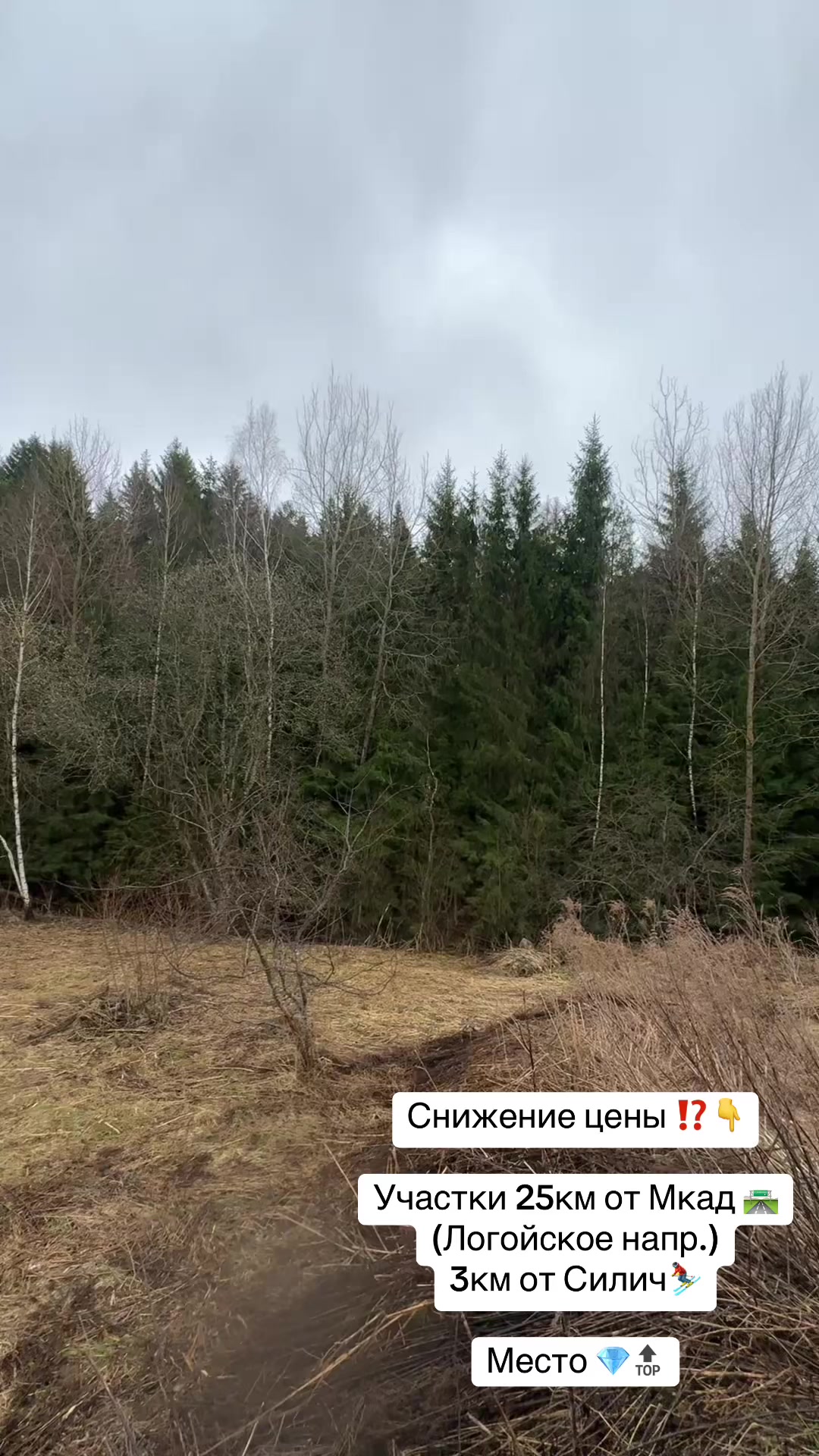 @denis_real_estate_minsk