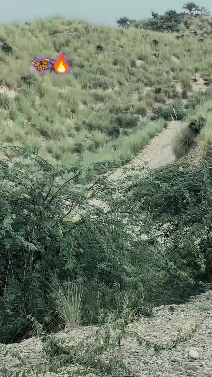 @🥀مســـــــــــکان خــــــان🥀