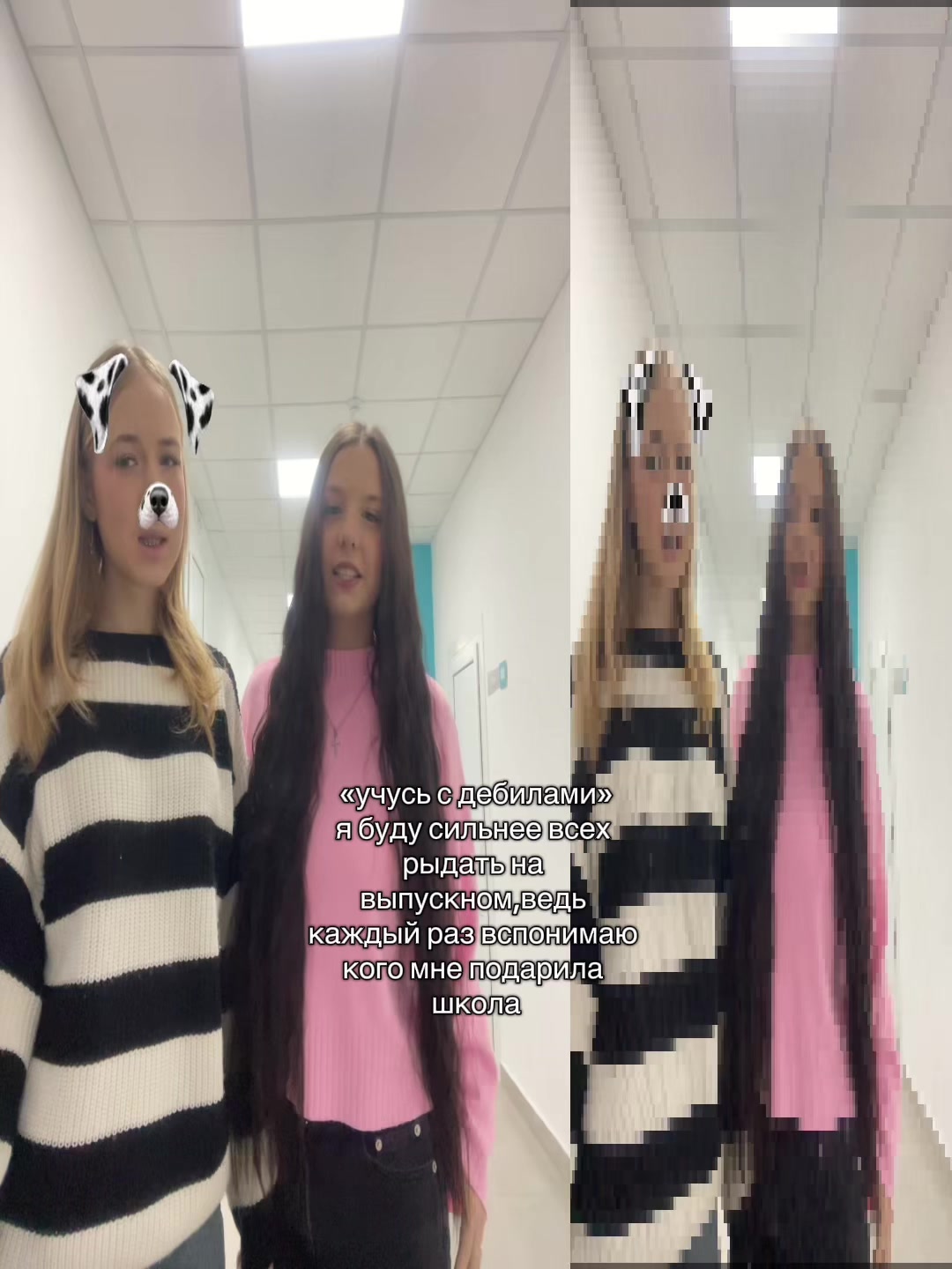@livsi