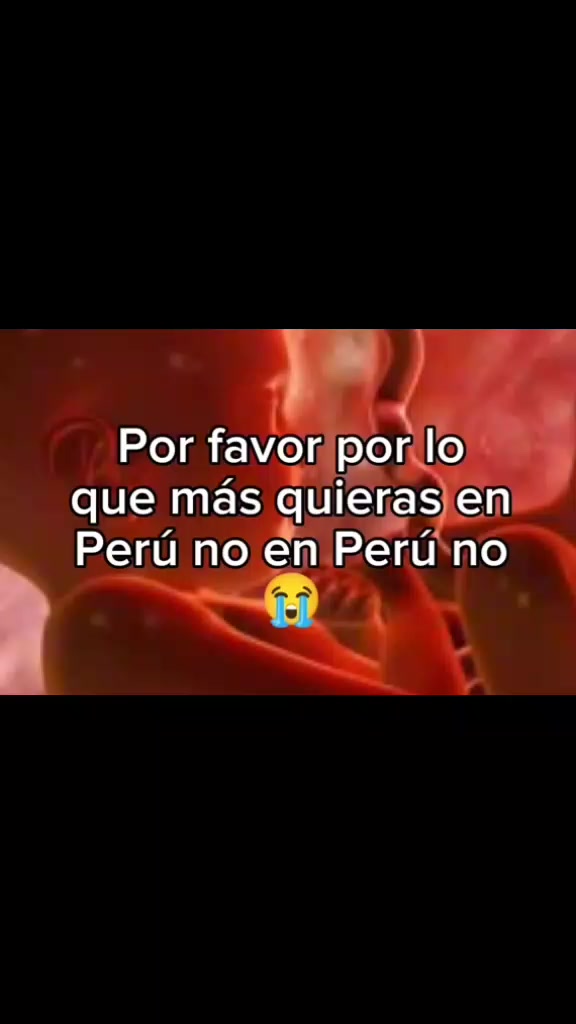 @🐾 yºchºrt🐾