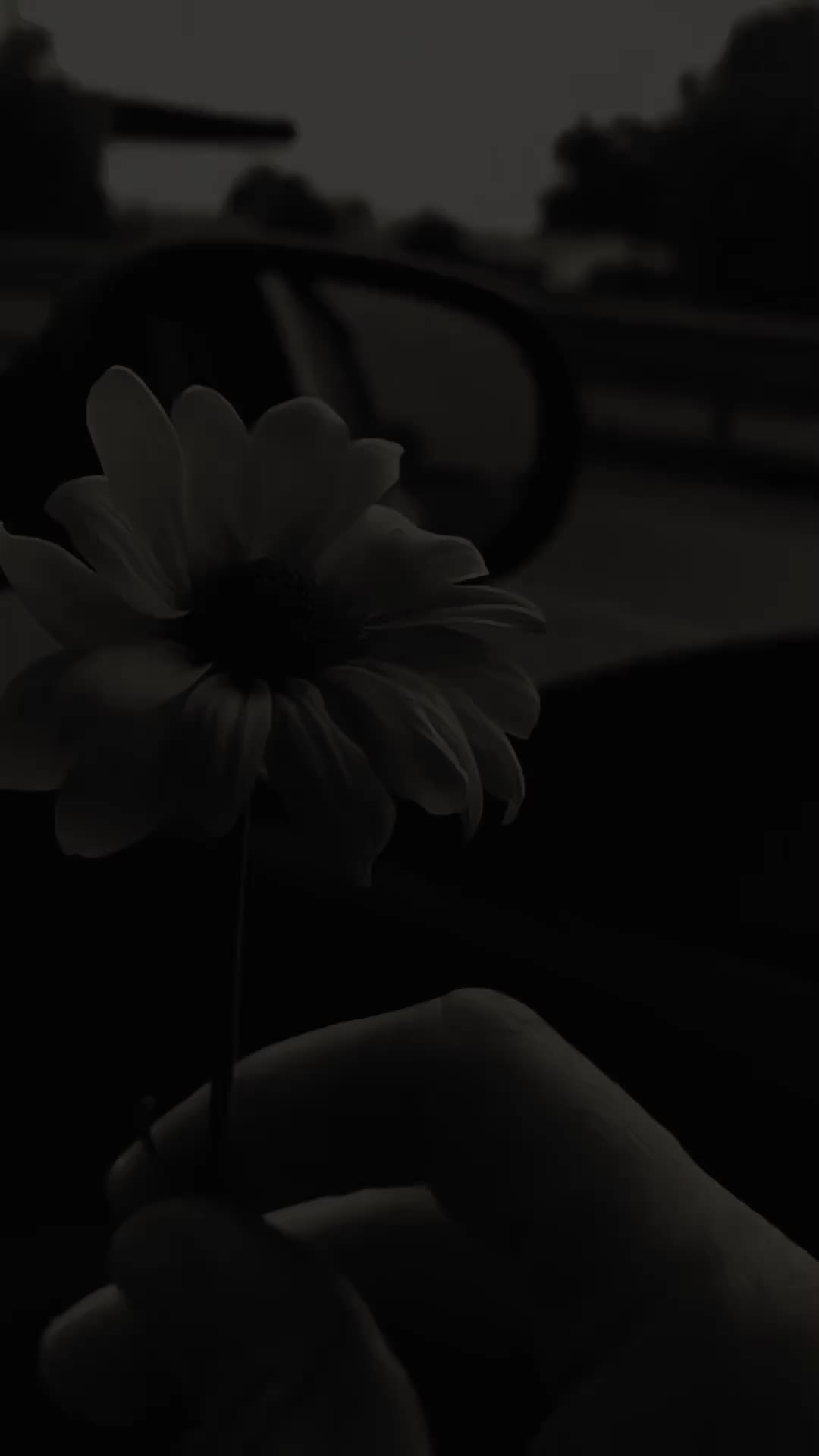 @SHEHZADA 🫀🥰