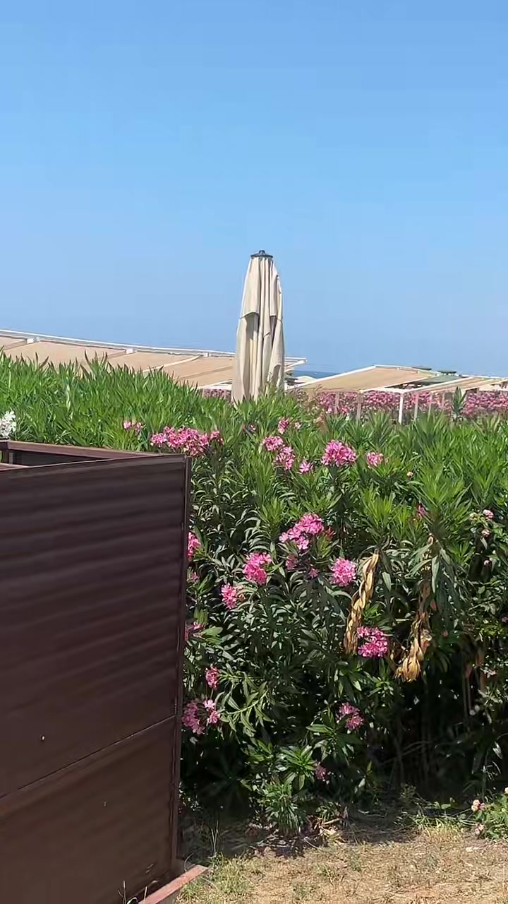 @𝓫𝓮𝓫𝓮𝓿𝓲𝓷🥰