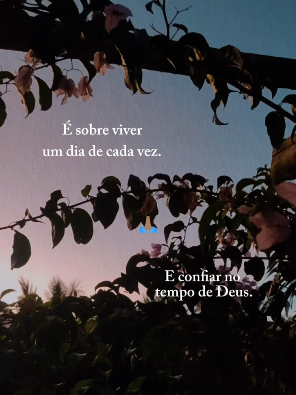 @Sítio Flor de Maria