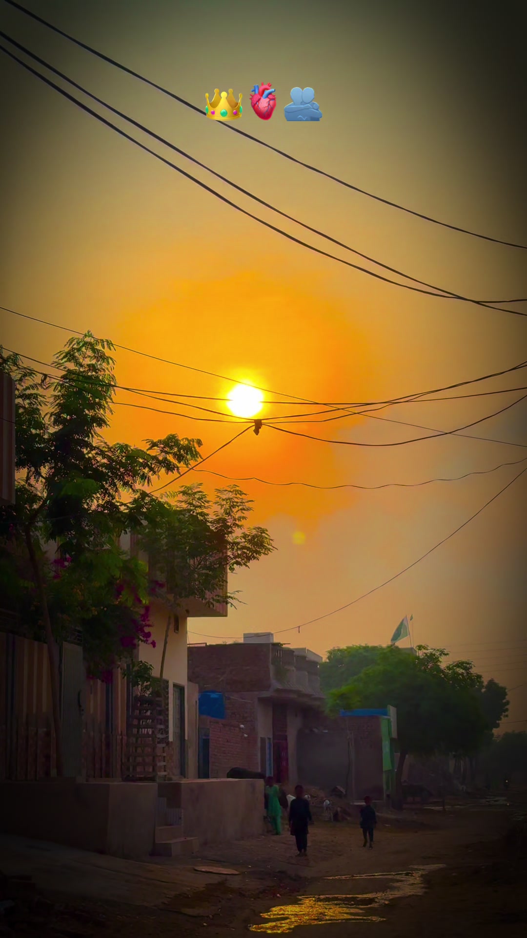 @پنجابی کلچر 🌾🍂