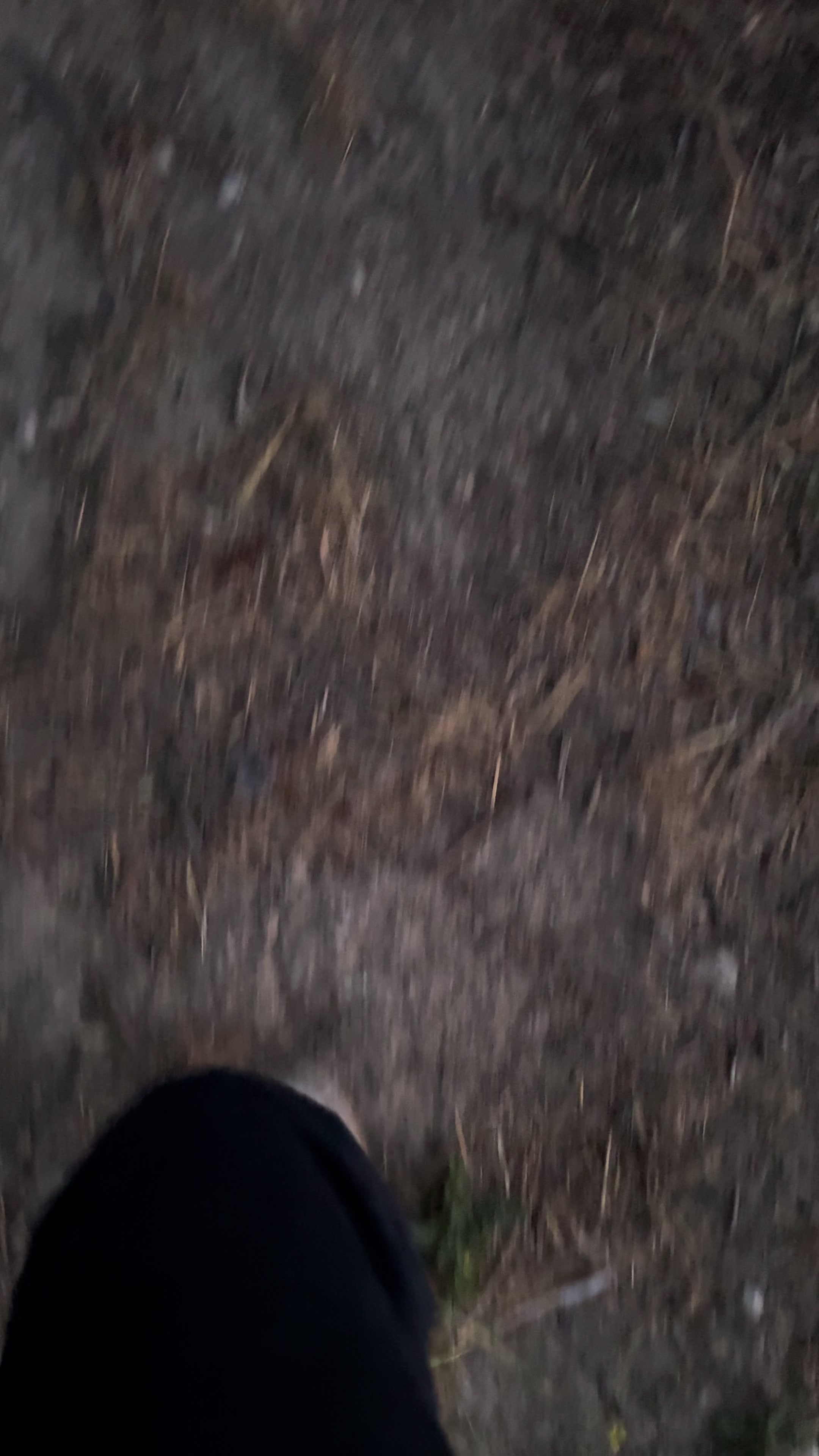 @miclcello