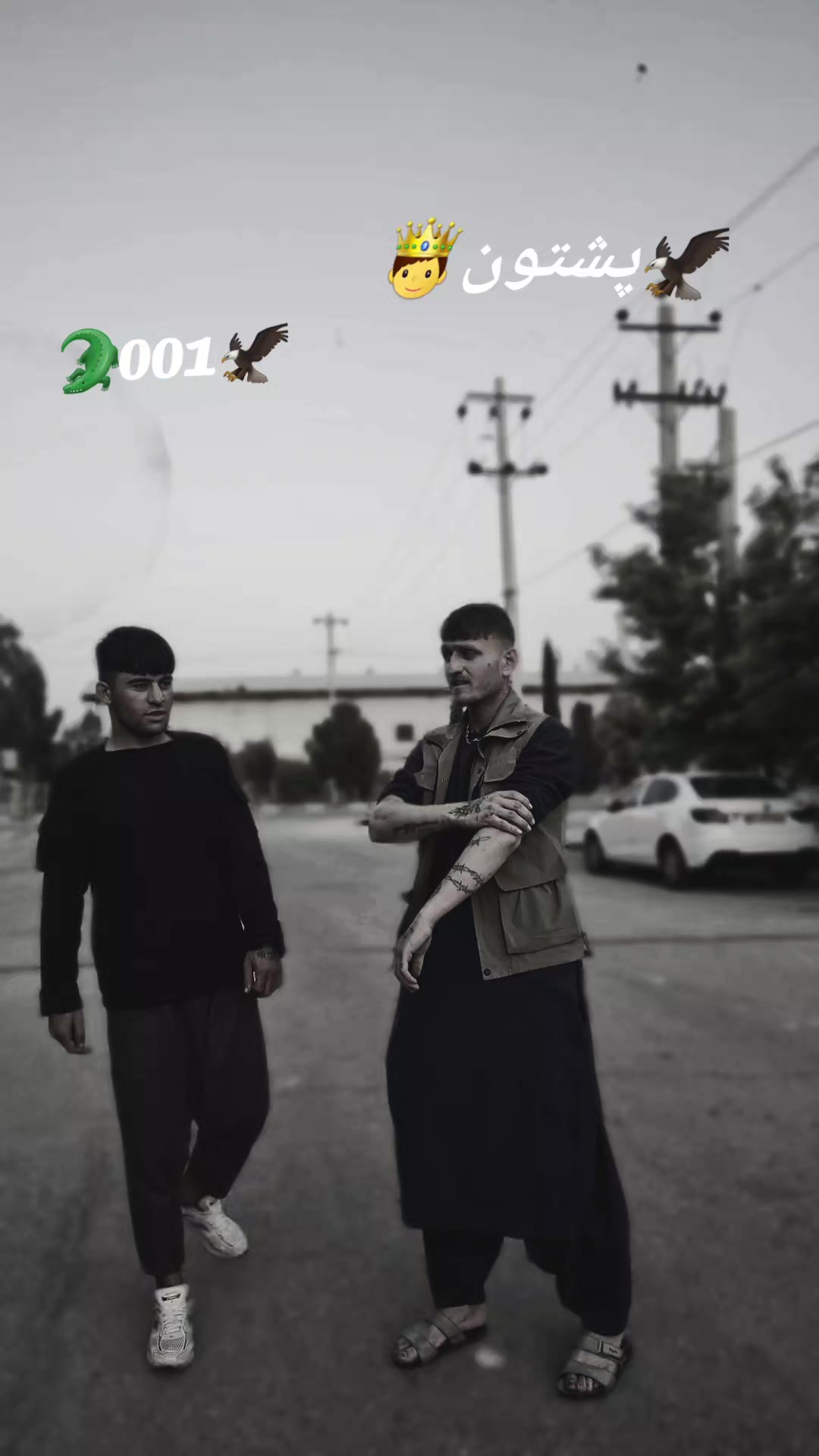 @🦅سلیم🦁خامار🐊مبارز👑