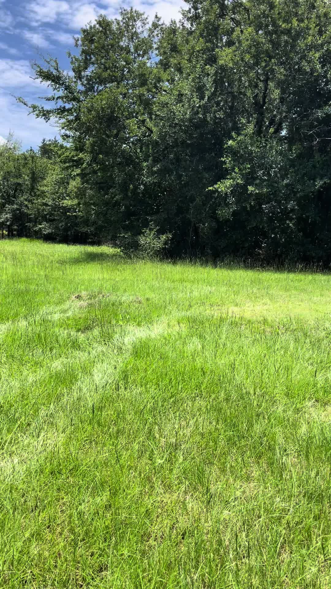 @dandanfat_man