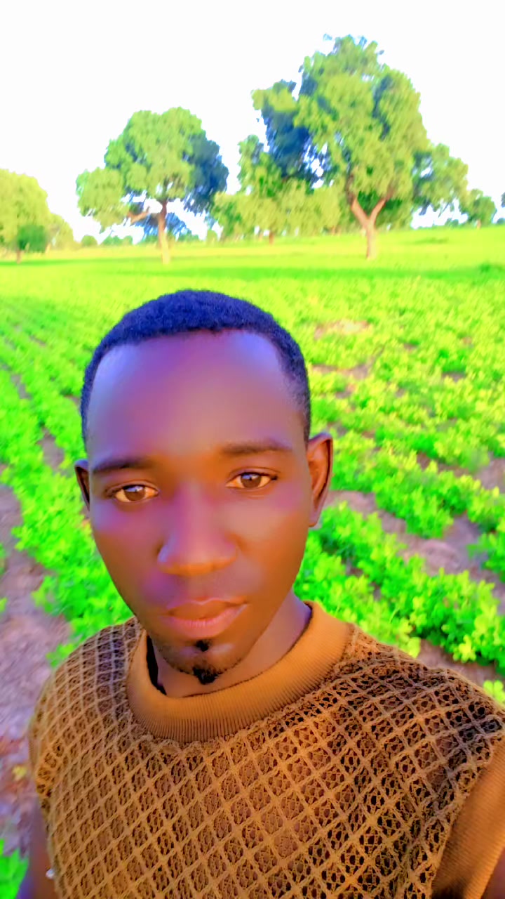 @AMATH NDAO