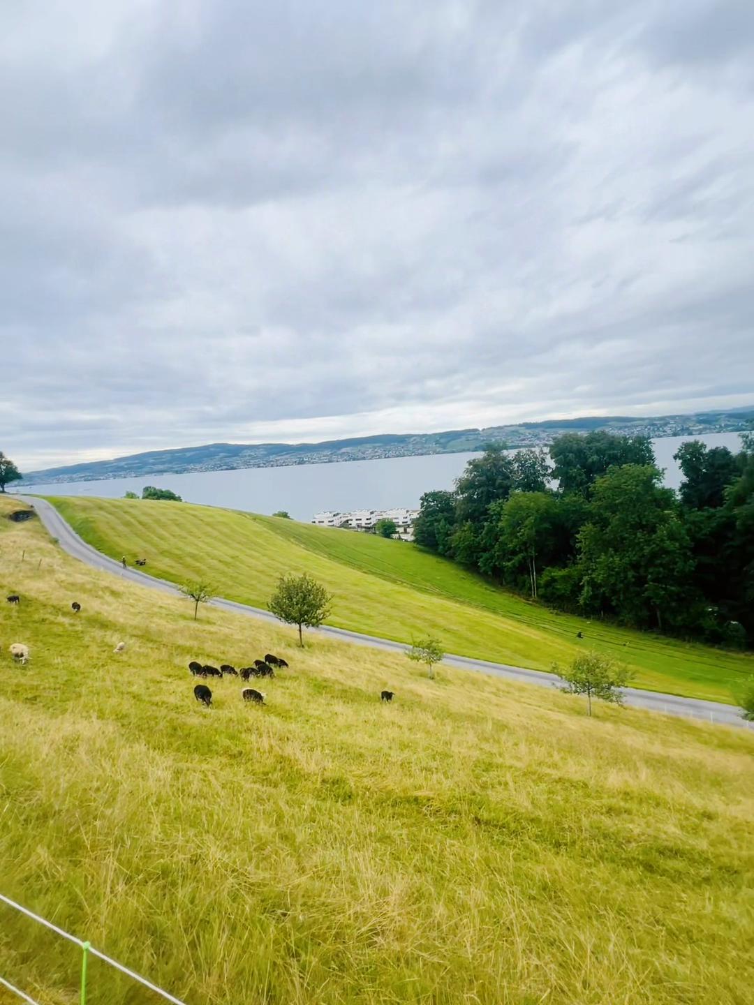 @Beşir Norouzi🇨🇭🥰🇬🇧