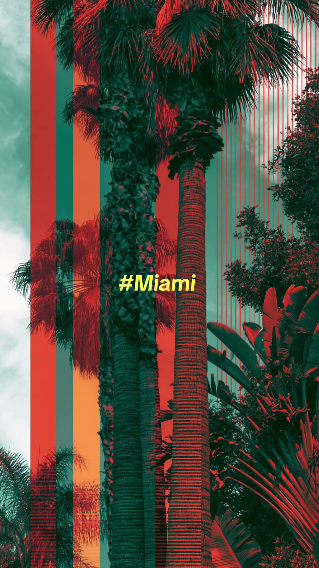 @Miami Raiden
