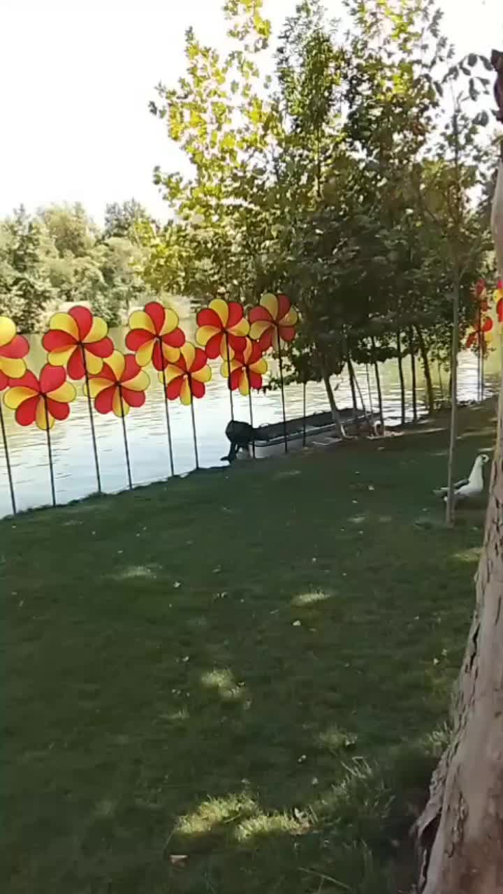 @Тойгул