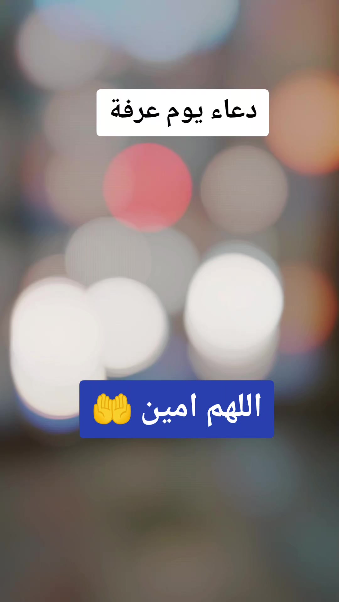 @🛍️_HB JEWELRY 29_🛍️