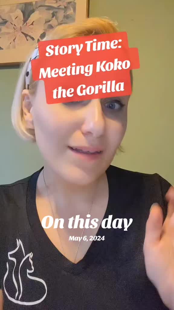 @TheJungleNook