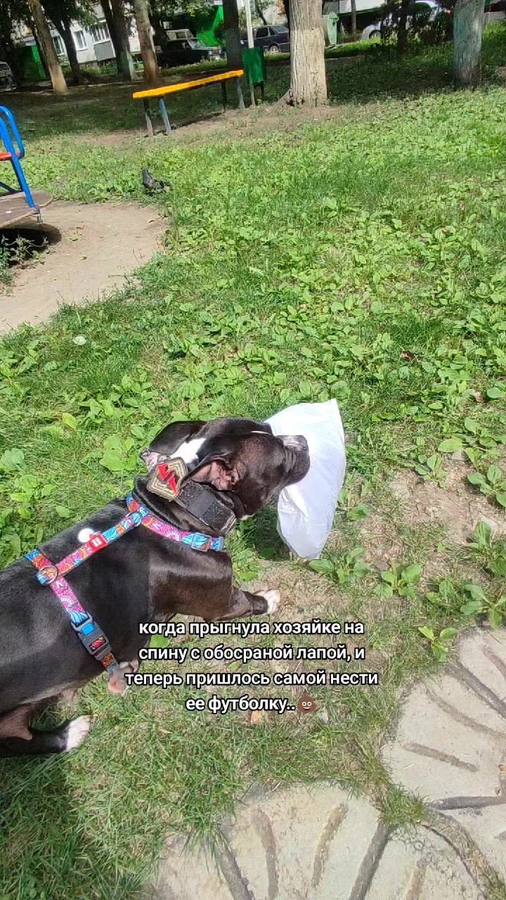 @𝒂𝒎𝒃𝒖𝒍𝒍 𝒅𝒆𝒔𝒔𝒂