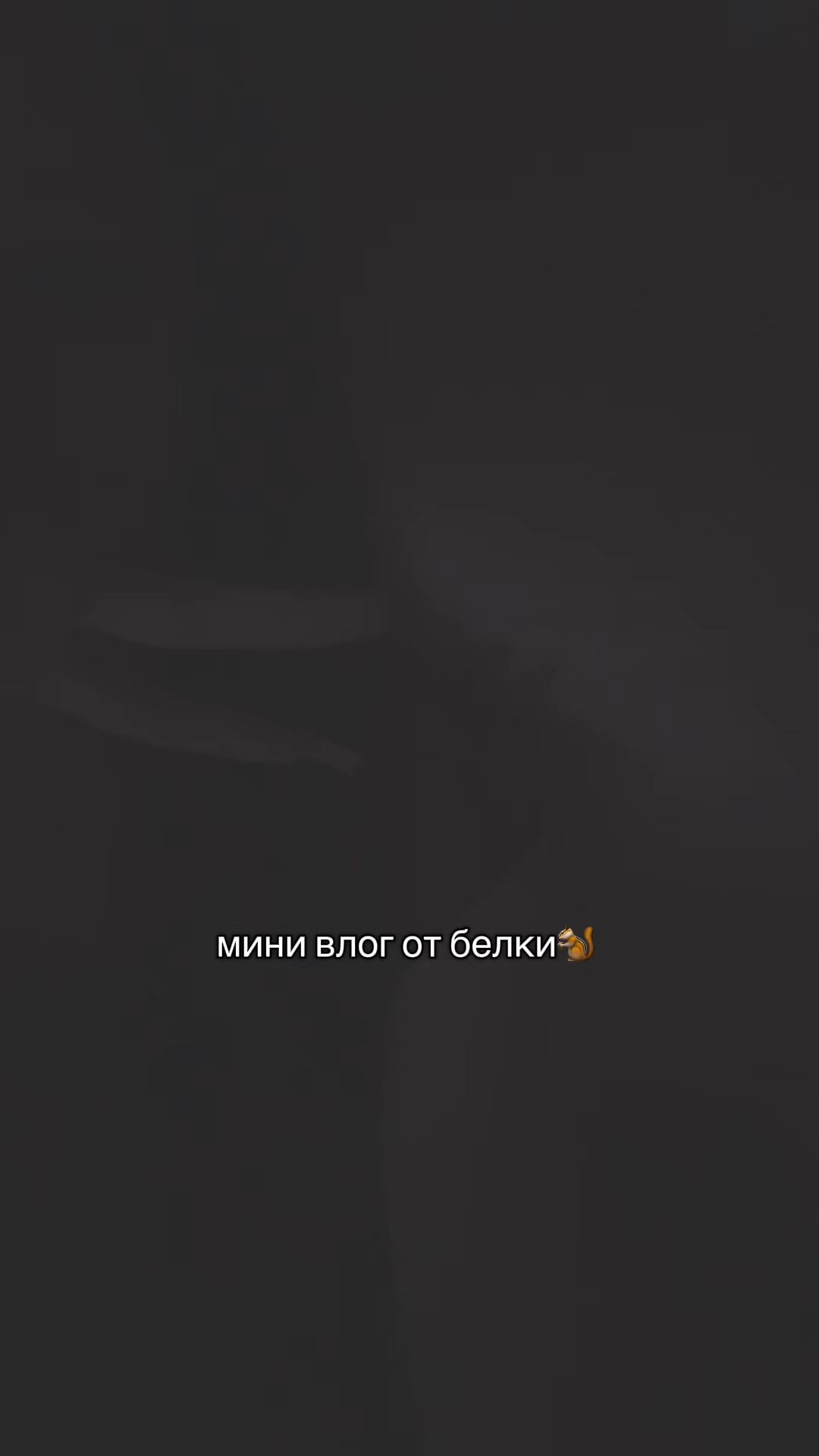 @беллка777 #тигрывклетке