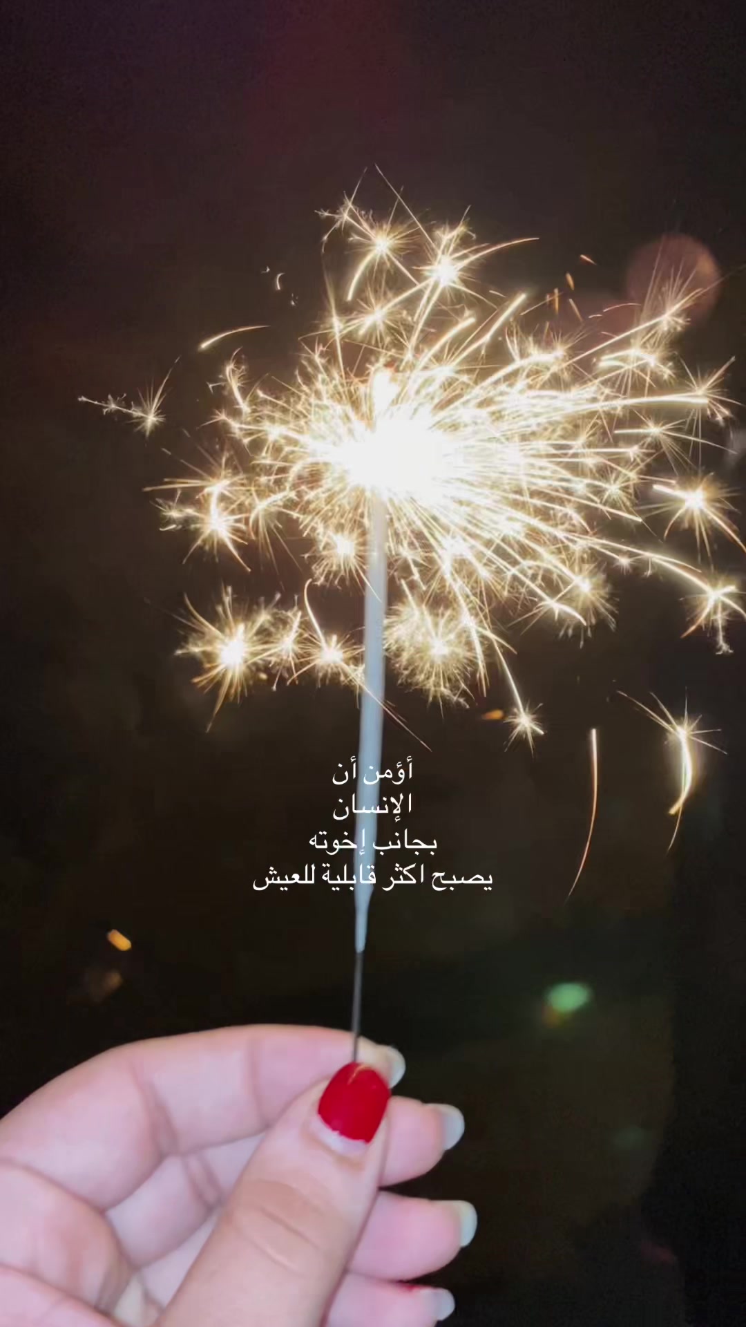@sh6u8