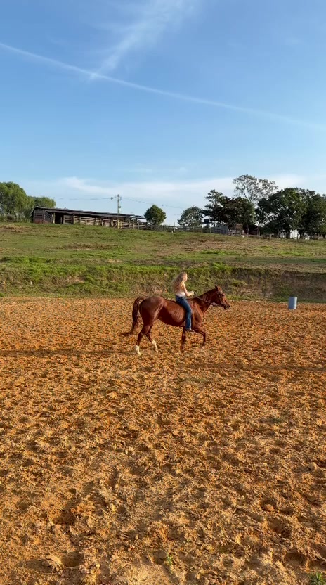 @Thor & cookie🐴🐰