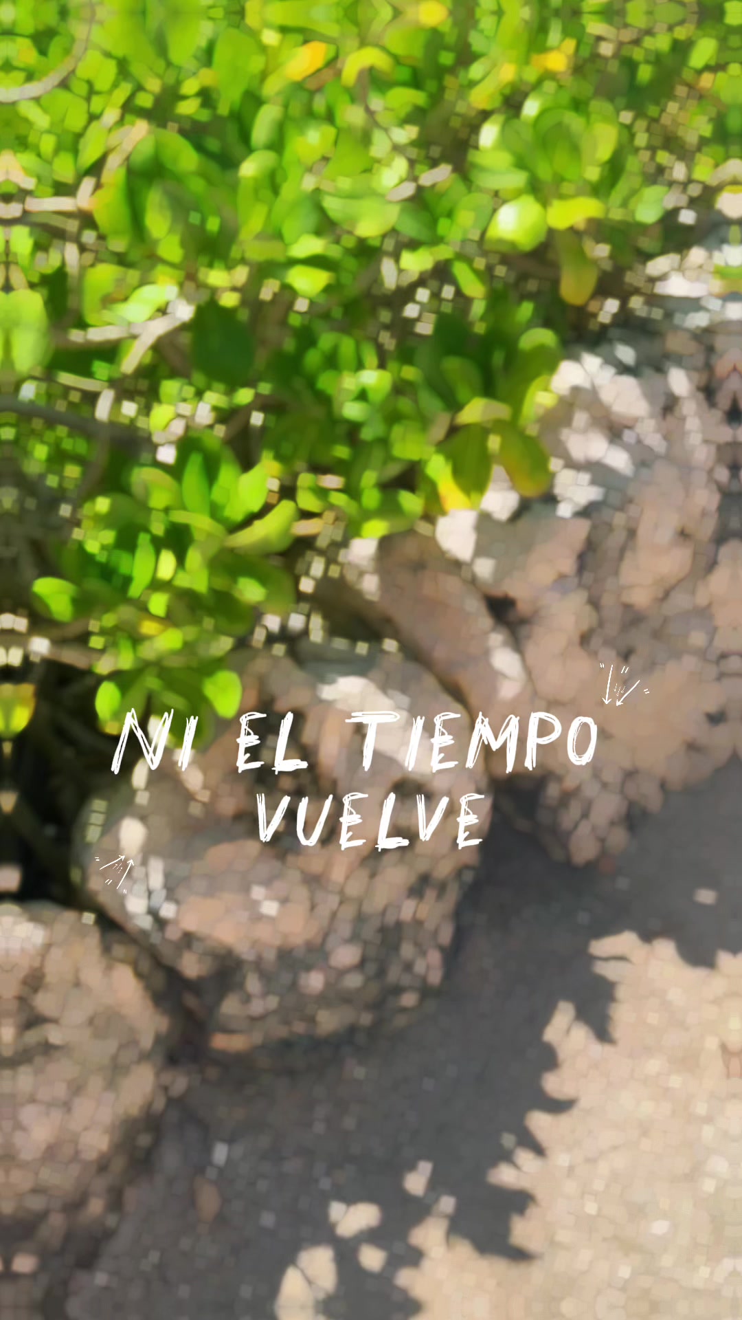 @Luihoyos23