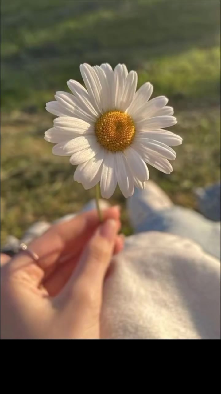 @🦋أثر الفراشة🦋masa