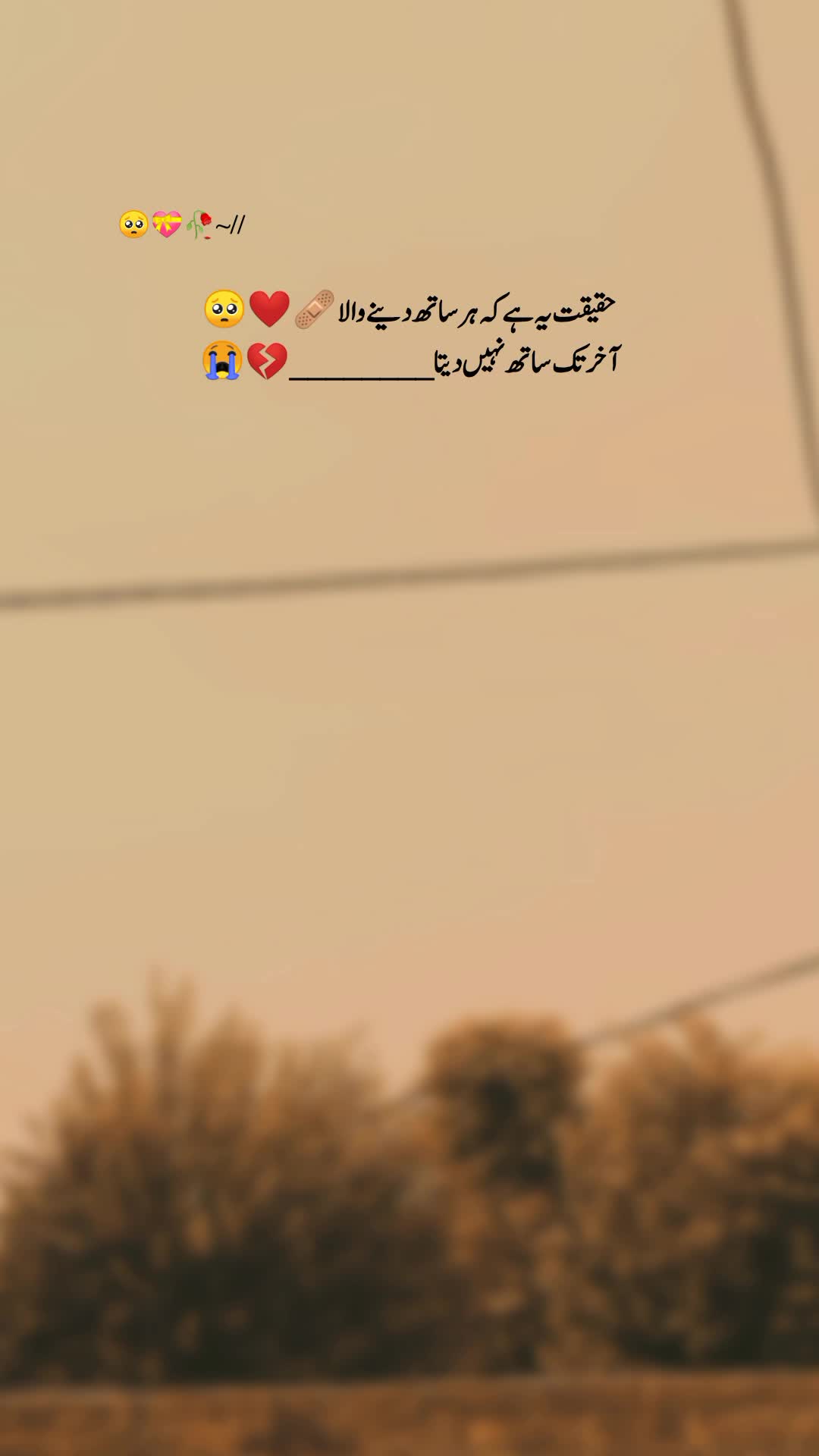 @&ldquo;Faisal Writes 🖤&rdquo;
