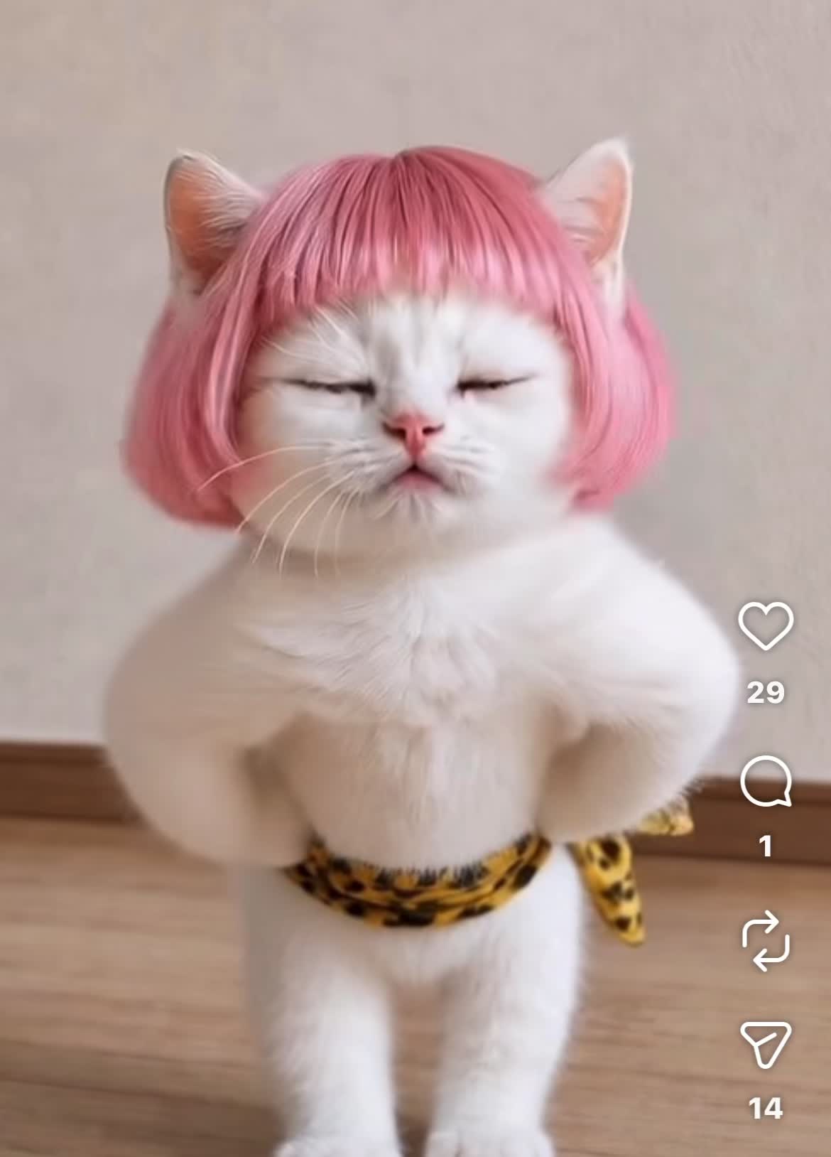 @Princess