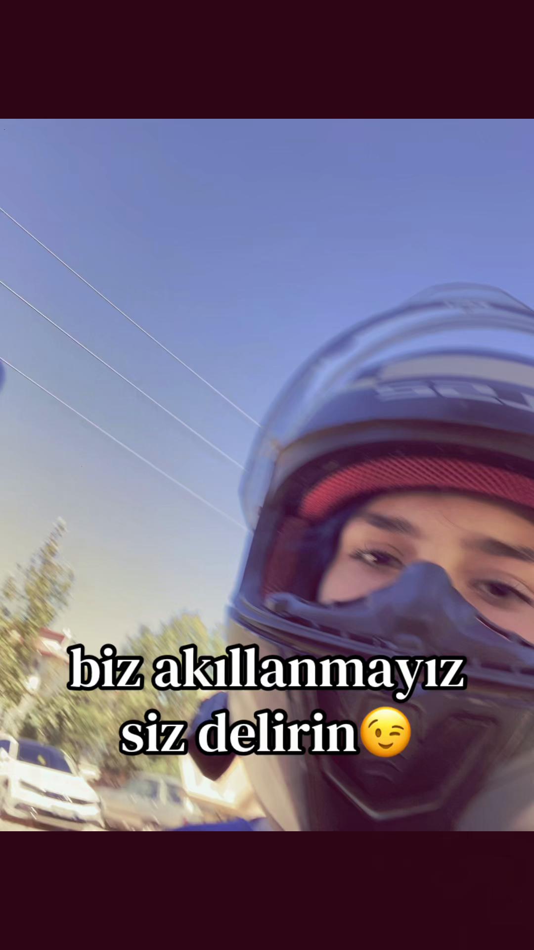 @🦭