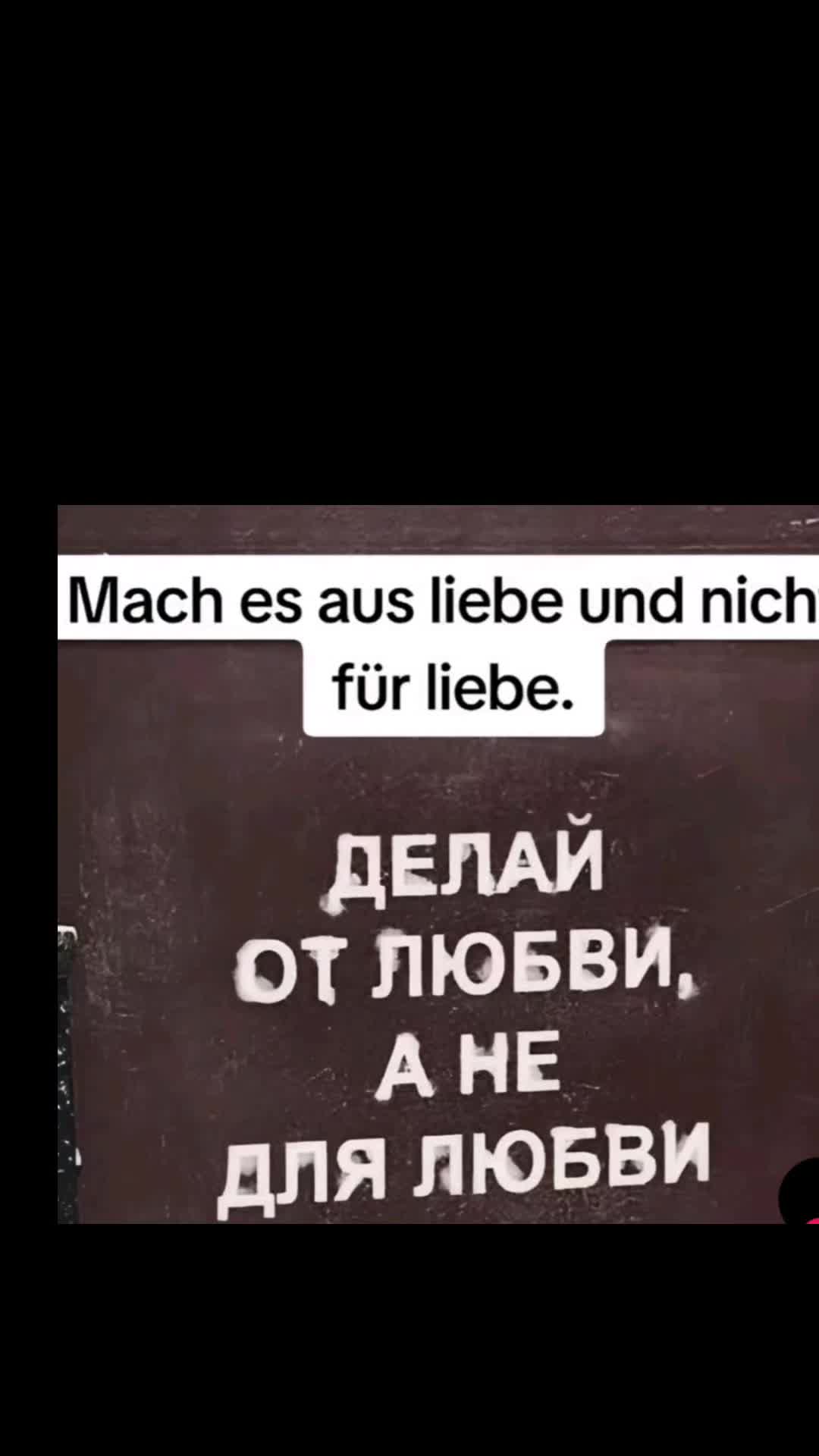 @WurzelRebellin♓
