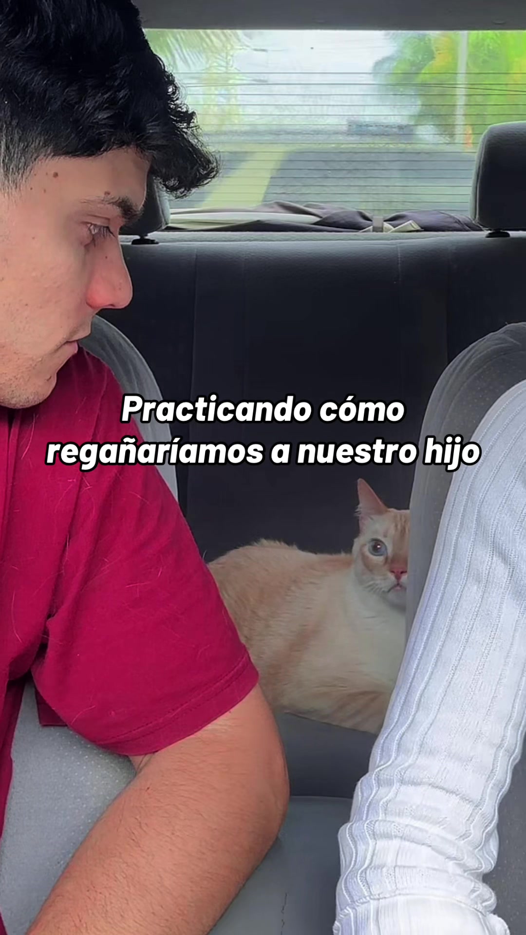 @Marcos Morales