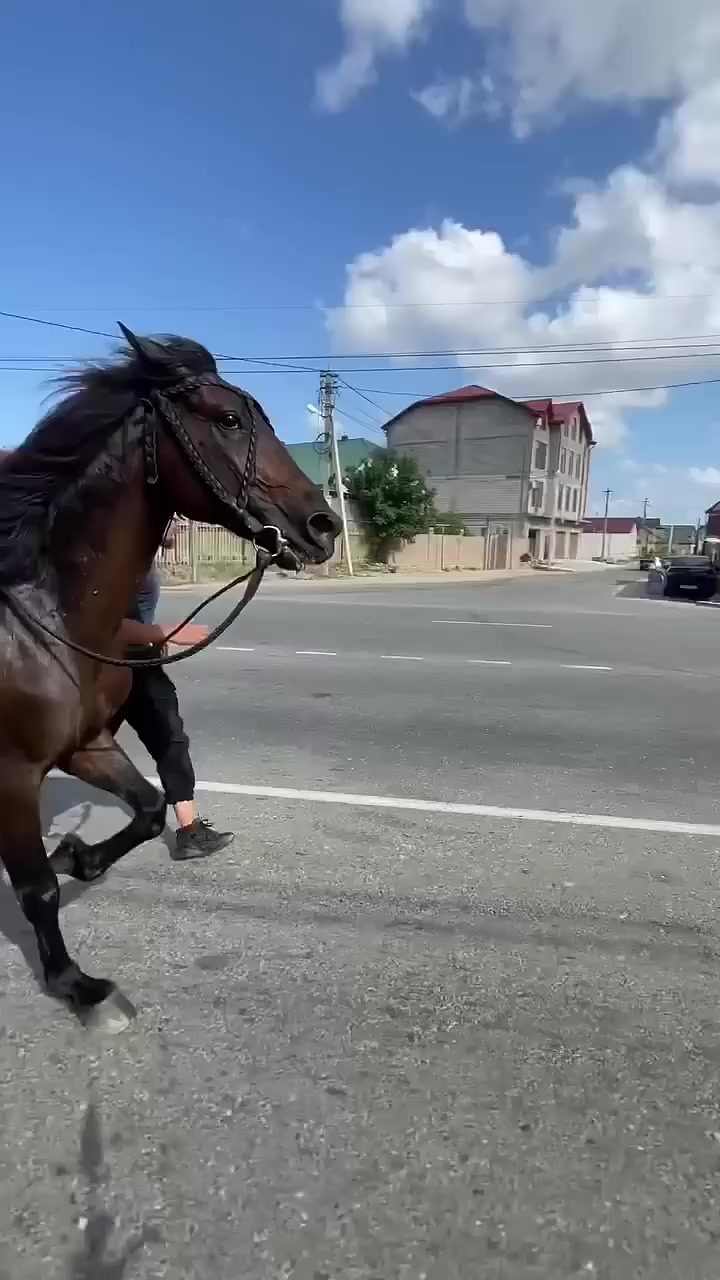 @qaqas015official