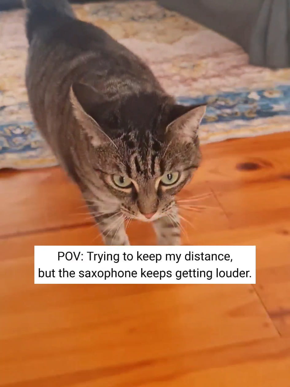 @PhoebeinWonder