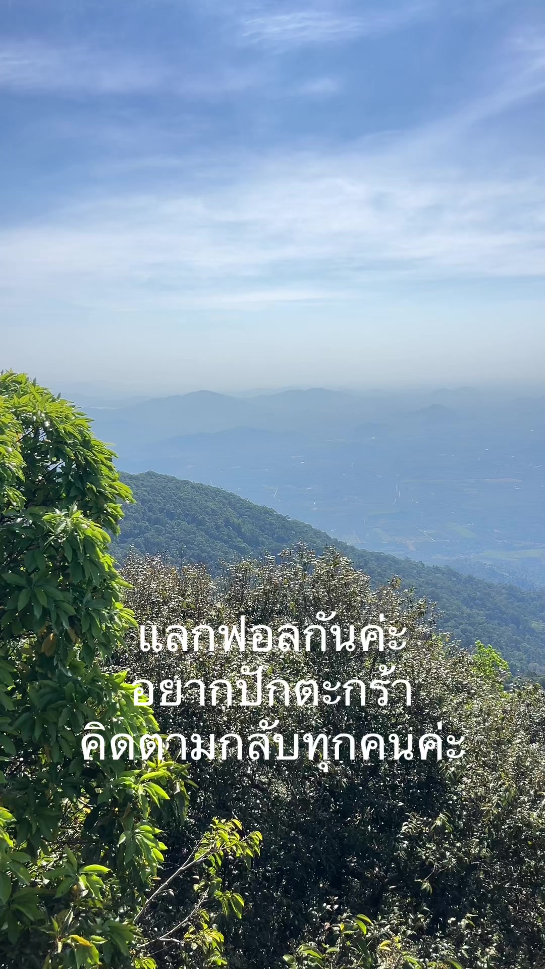 @ป้ายยา ของดี