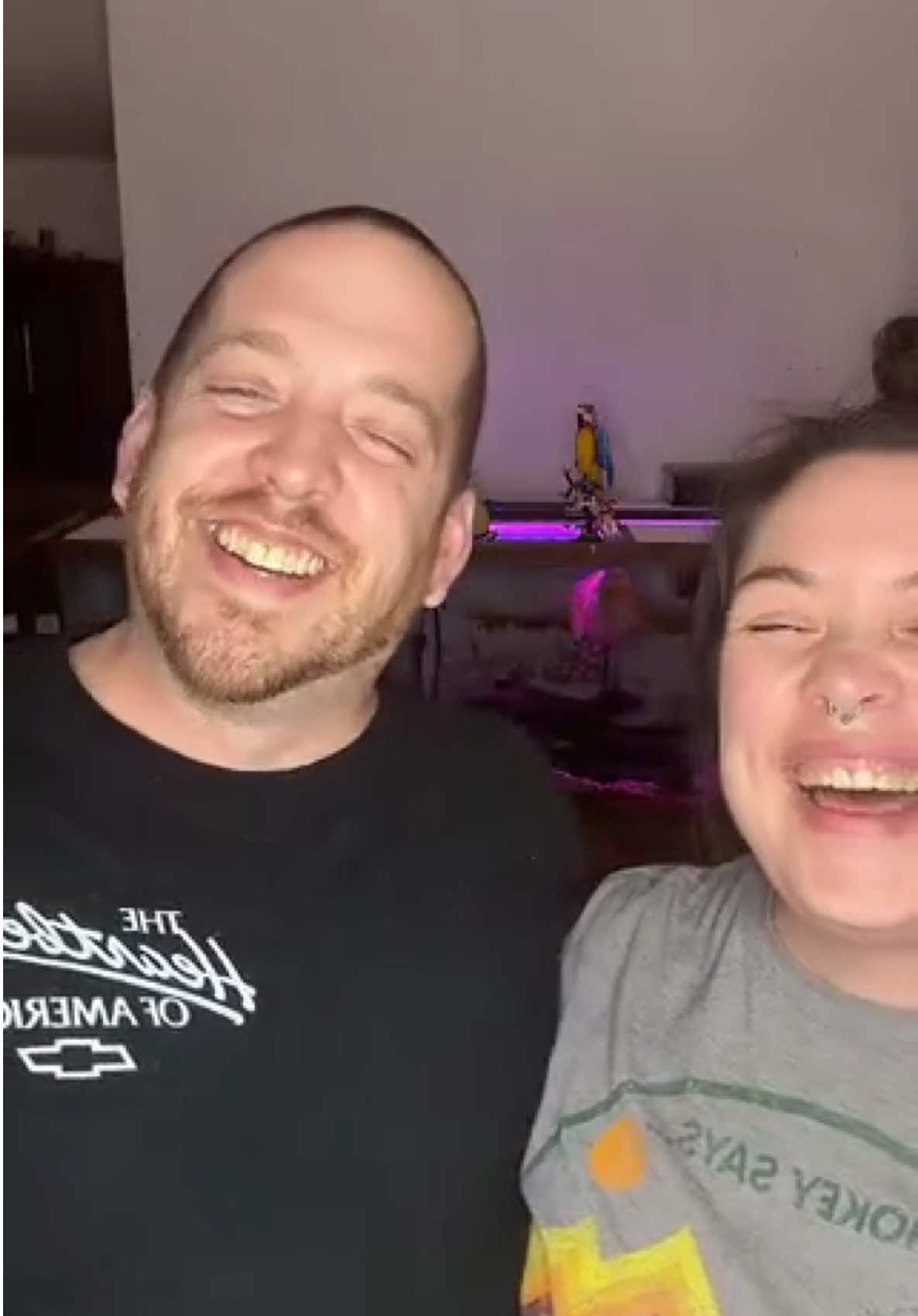@LolosCritters 🏚️🐓