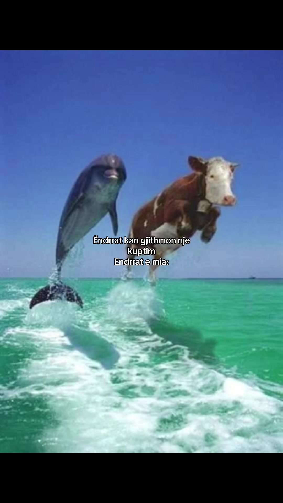 @𝓛’🦢