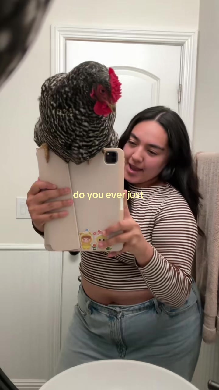 @kimmy