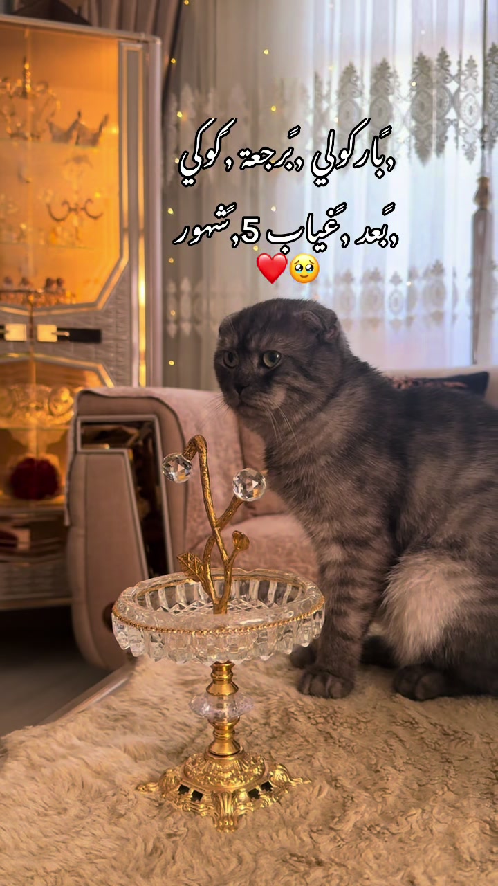 @👑RUBA✨