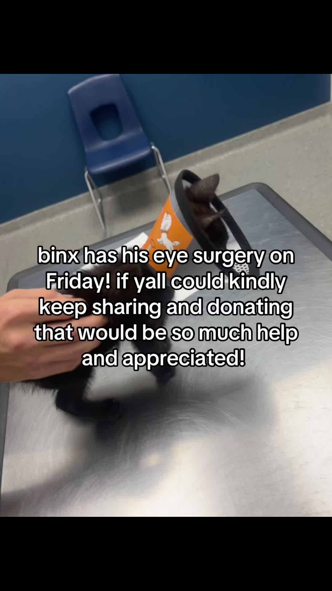 @miranda