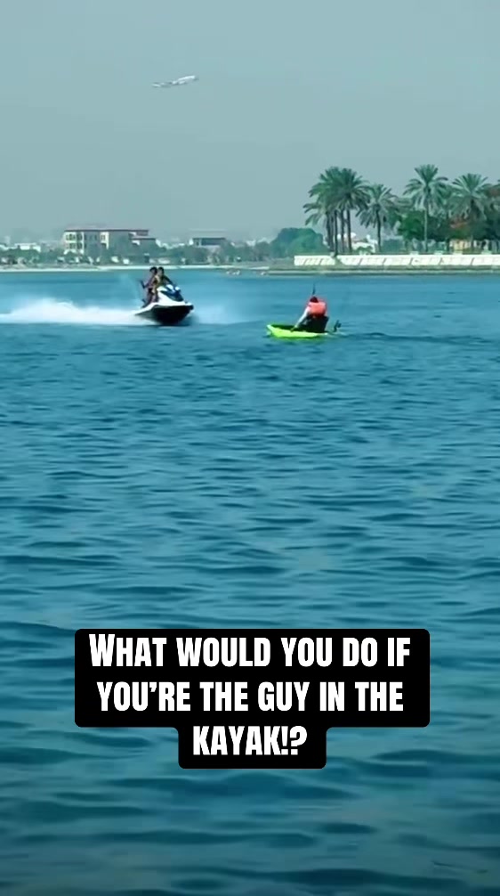 @daily.saltwater